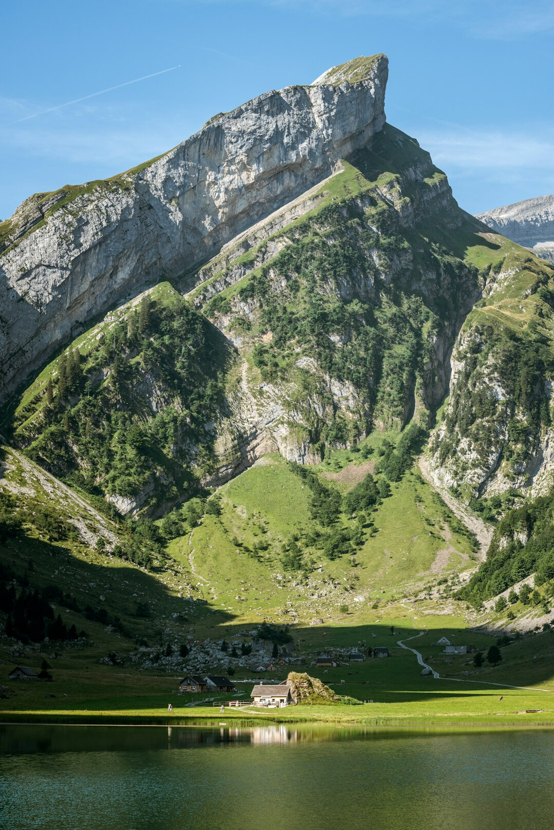 swiss landscape business